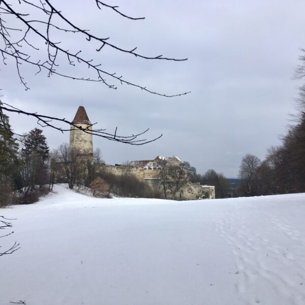 Burg Seebenstein, Foto Veronika Schöll