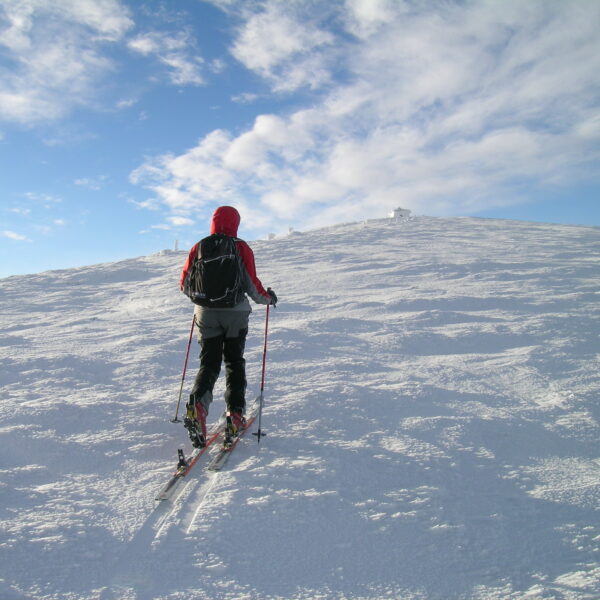 Gipfelwärts zur Heukuppe. Foto: Alpenverein Edelweiss