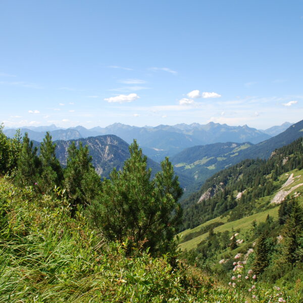 Natura Trail Kaisergebirge. Foto: Andrea Lichtenecker