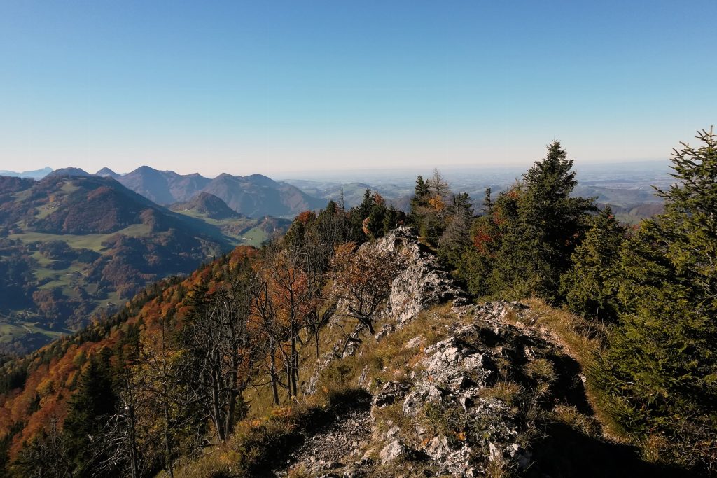 Grat zum Schiefersteingipfel (1206m) . Foto: Veronika Lehner