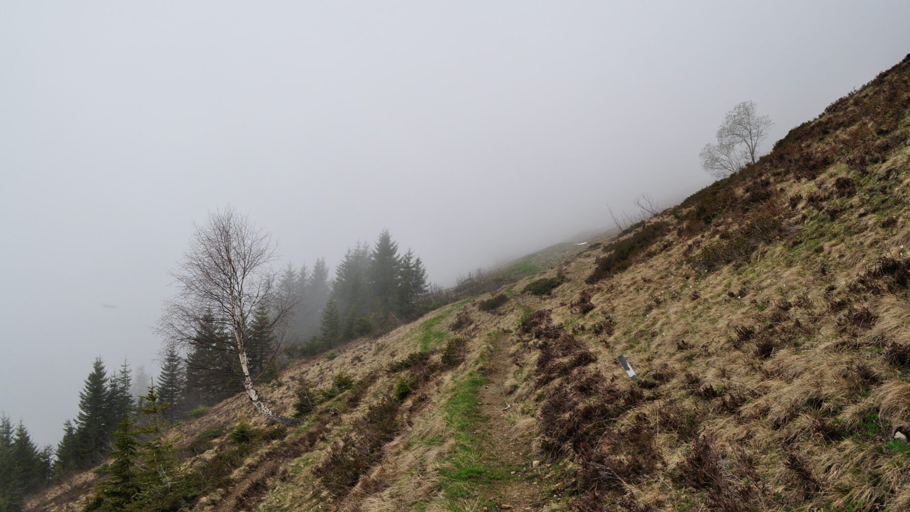 Steile Hänge und Alpen prägen das Bild des Walsertals. Foto: Norman und Lisa