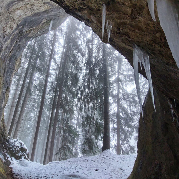 Weitwinkel-Blick aus dem Inneren der Grotte. Foto: Alice Frischherz
